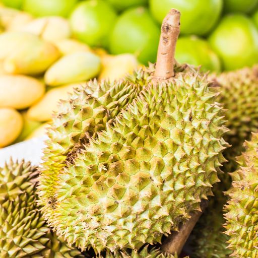 Musang King (D197)